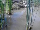 IMG_20130609_115024