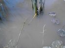 IMG_20130609_115044