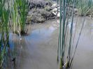 IMG_20130609_115115
