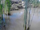 IMG_20130609_115124