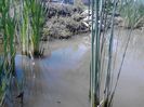 IMG_20130609_115134