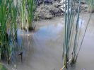 IMG_20130609_115206