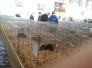 20140202_133538
