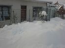 DSC06229