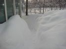 DSC06242