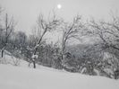 IMG_20140201_093654
