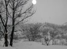 IMG_20140201_095432
