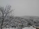 IMG_20140201_100115
