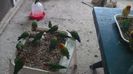 DSC00177
