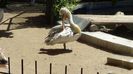 DSC00200