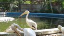 DSC00201