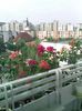 Pic_0811_179
