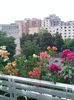 Pic_0811_190