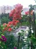 Pic_0816_248
