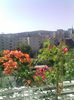 Pic_0908_317