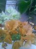 Pic_0929_713