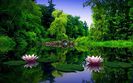 612161-1280x800-This-is-a-real-spring
