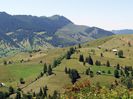 bucovina