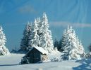 iarna-in-bucovina