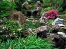 poze-frumoase-natura-57