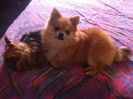 IMG_0304[1]