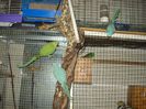 DSC06400