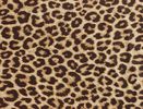 zebra-print-cheetah-leopard-giraffe-animal-posters-th-purple-253743