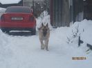 IMG_0076