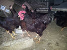 20140202_164034
