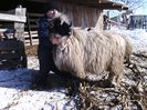 IMG_20140204_112827