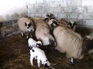 IMG_20140204_113458