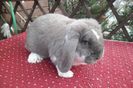 SAM_1389