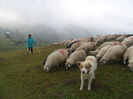 SAM_3824
