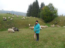 SAM_3832