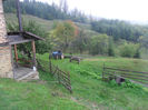 SAM_3910