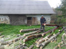 SAM_3919
