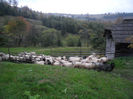 SAM_3927