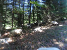 SAM_3935