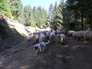 SAM_3939