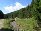 SAM_3942