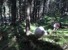 SAM_3952