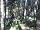 SAM_3953