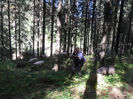 SAM_3954