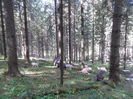SAM_3957