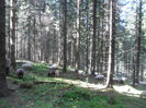 SAM_3960