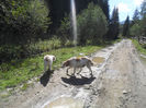 SAM_3963