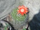 Image052