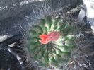 Image057