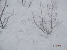 DSCF1438
