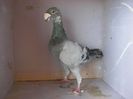 SANY0064